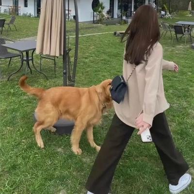 死命必达